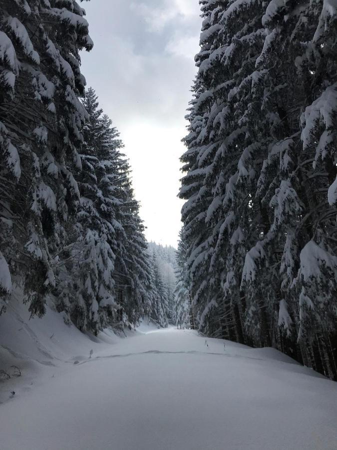 Appartamento Haus Schwarz Staudach-Egerndach Esterno foto